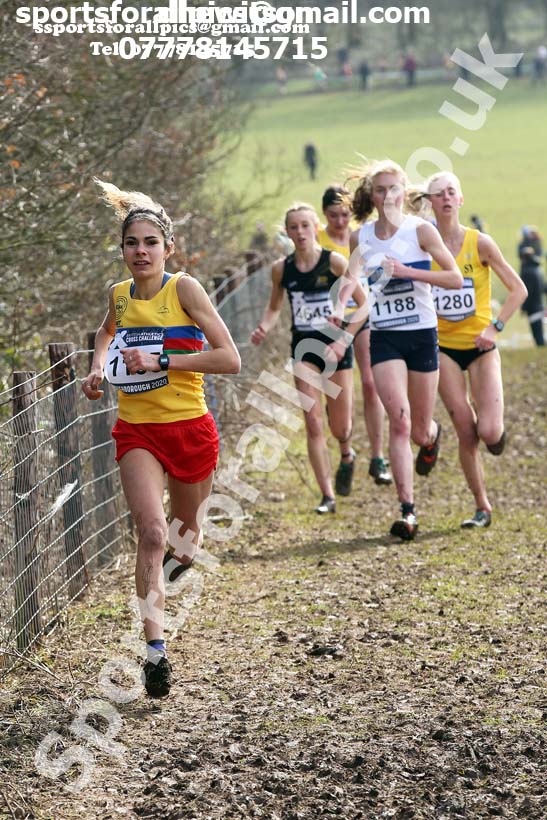 Senior women, 2020 British Athletics Inter Counties Cross Country Champs., Prestwold Hall, Loughborough. Photo: David T. Hewitson/Sports for All Pics